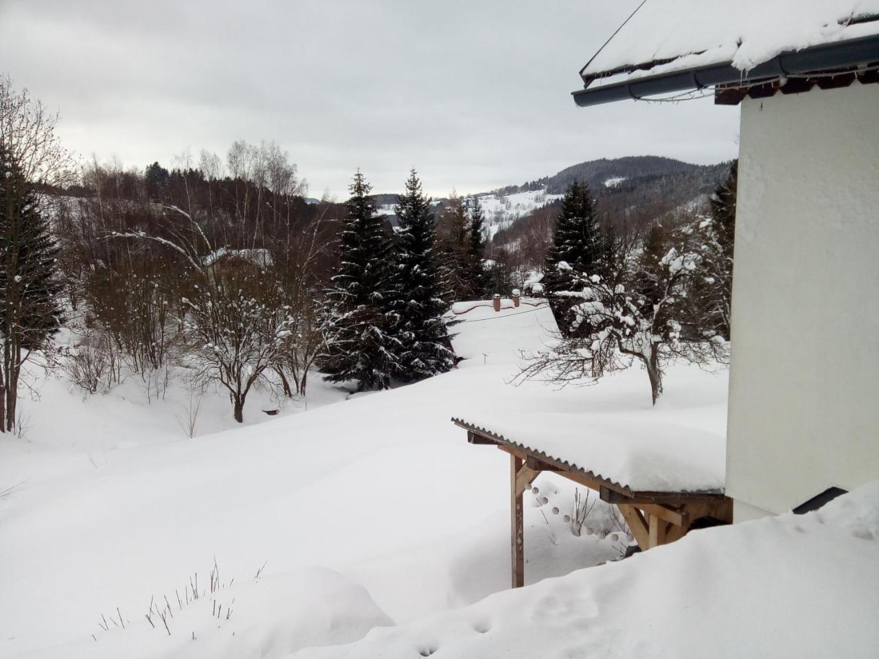 Appartamento Frantiskov 17 Rokytnice nad Jizerou Esterno foto