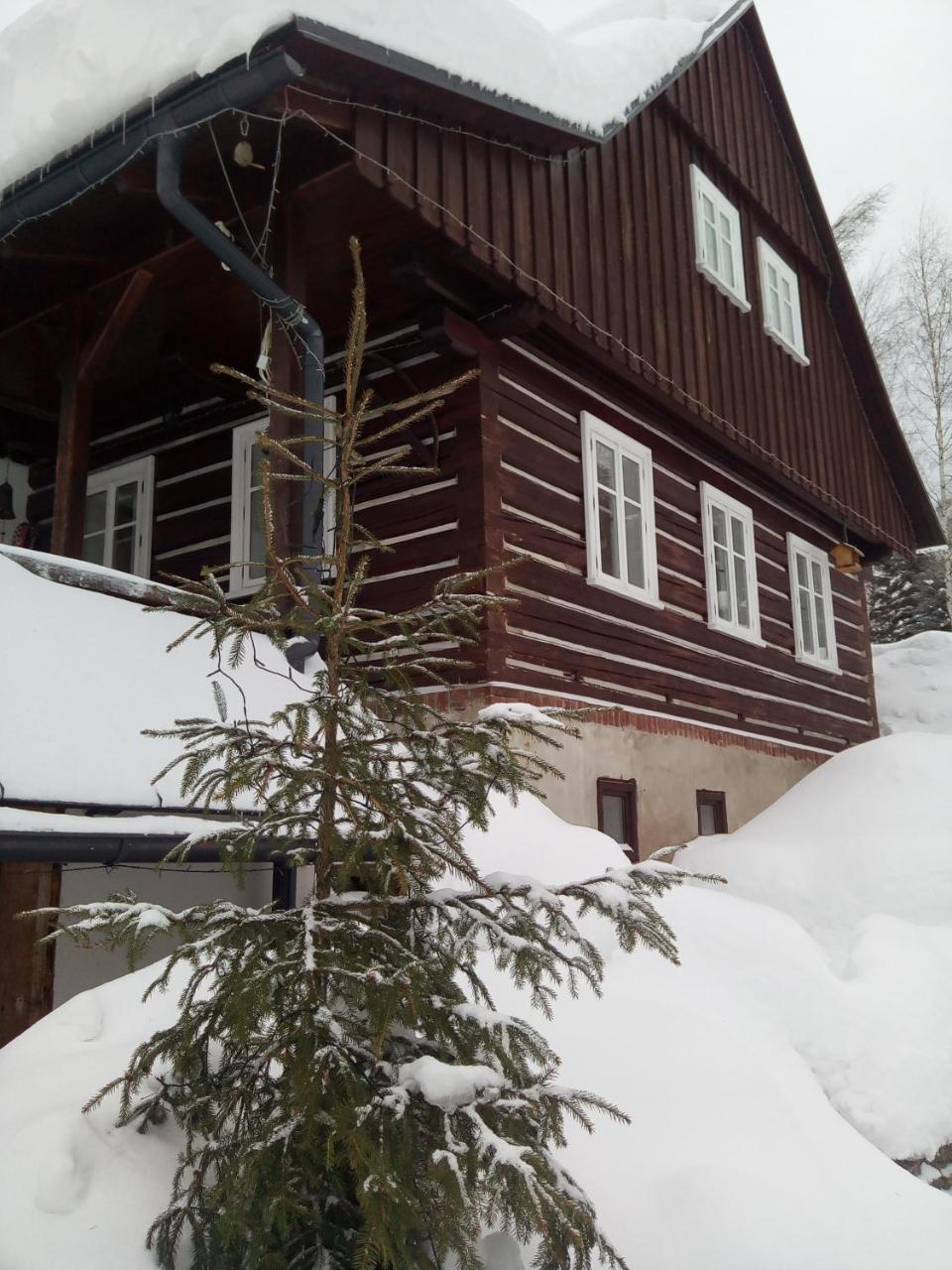 Appartamento Frantiskov 17 Rokytnice nad Jizerou Esterno foto